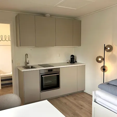 Newly Renovated - Free Parking And Ev Docking * 트론헤임